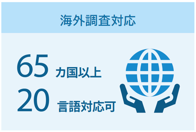 CSサービスサイト 海外調査対応の図